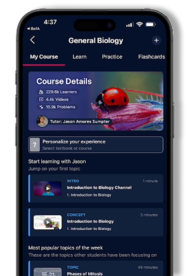 mockup-app