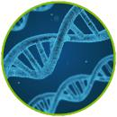 pearson-virtual-labs-biologia